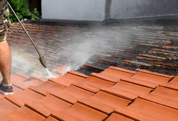 Best Local Pressure Washing Services  in Matta, WA